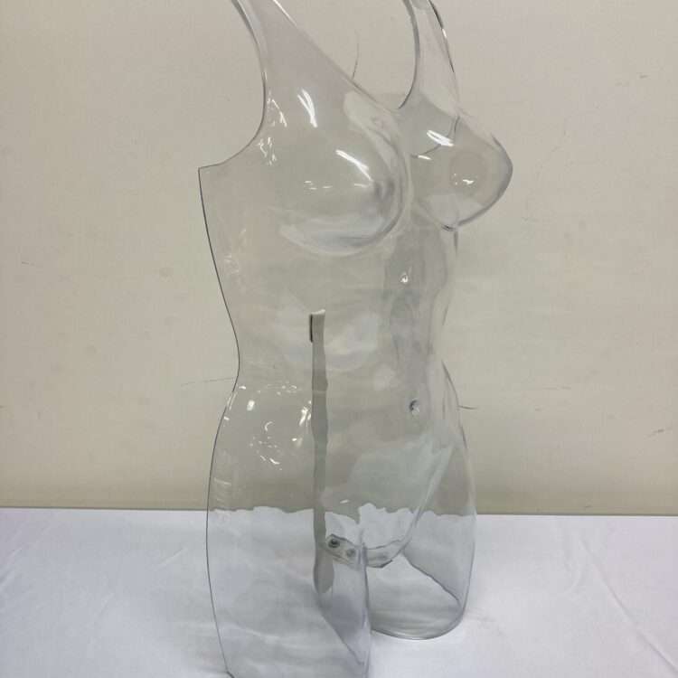 transparent byst